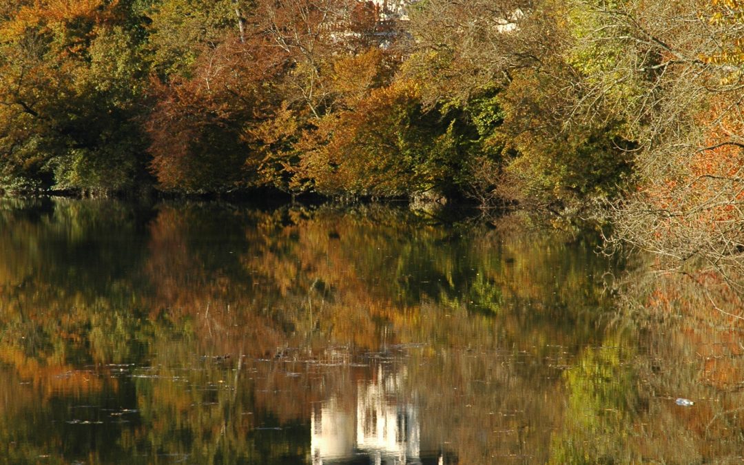 Château du Priousté