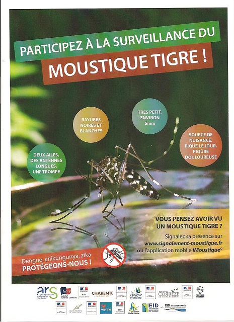 surveillance du moustique tigre