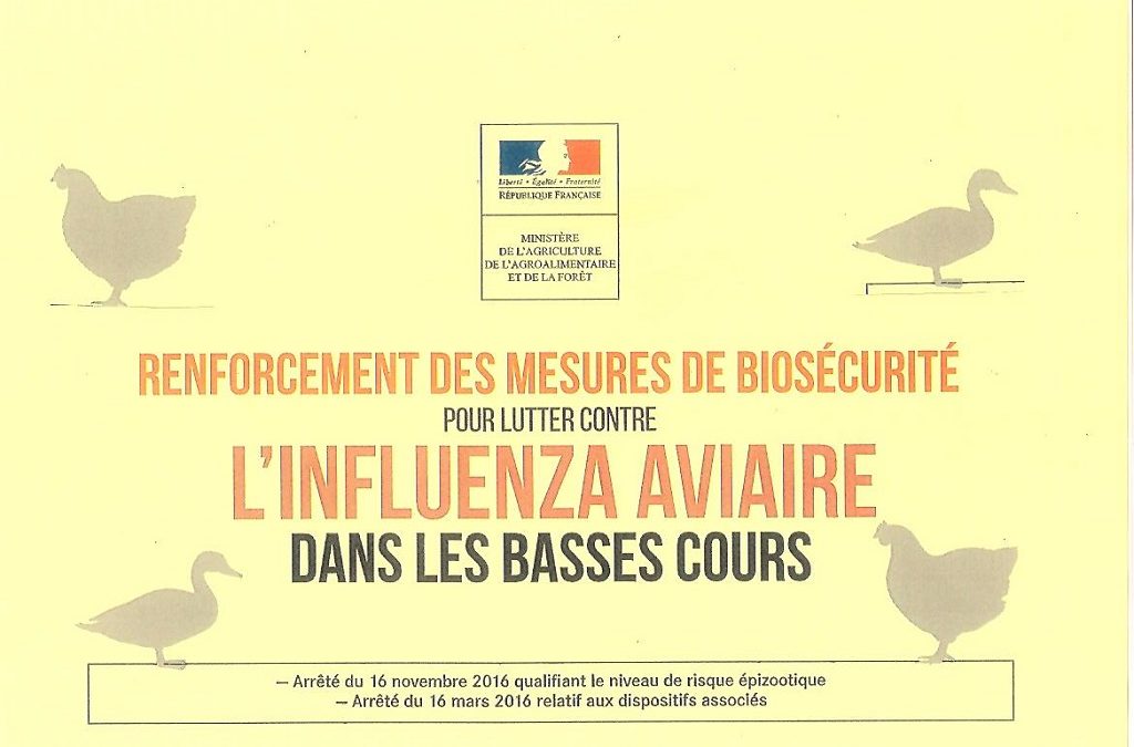 lutter contre L’Influenza Aviaire