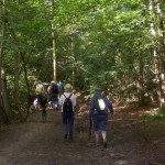 Promenons nous dans les bois 1