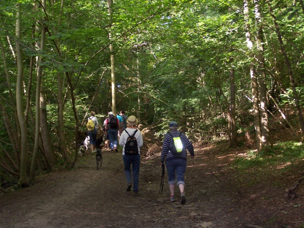 Promenons nous dans les bois