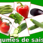 Où acheter des légumes de saison dans le village ?