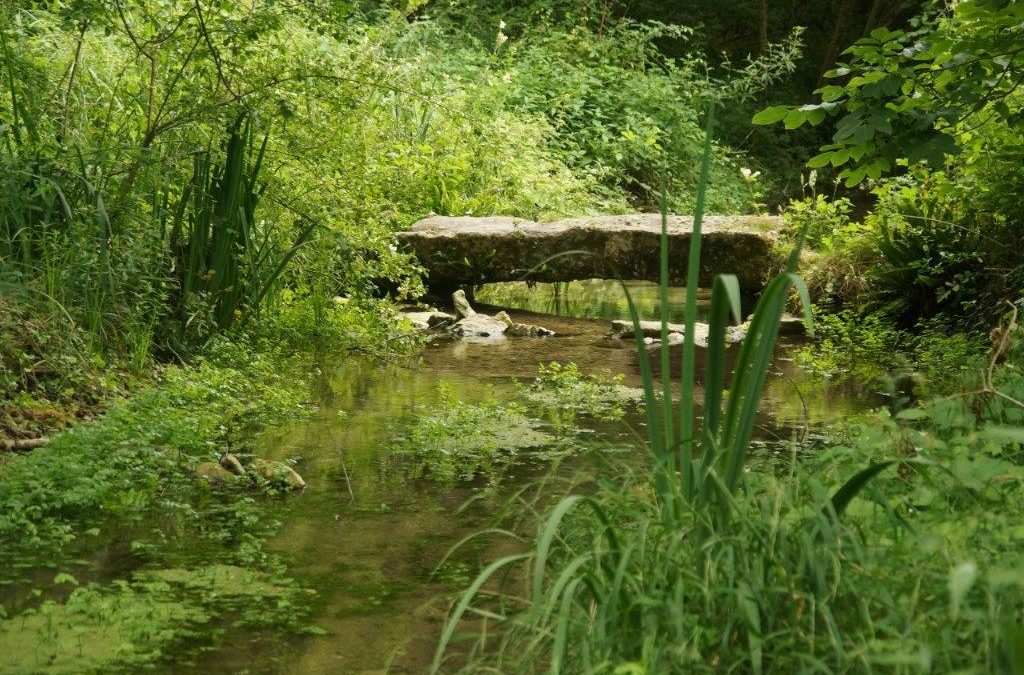 Le Vallon du Bel Air