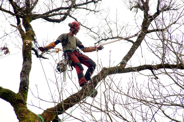 Janvier 2020 – Travaux d&rsquo;hiver et variés