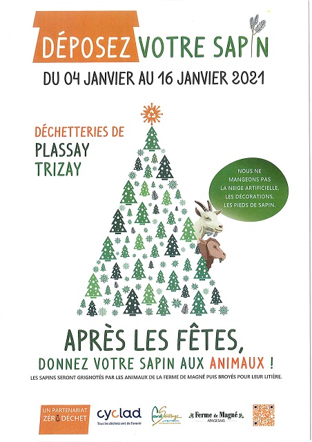 Une deuxième vie pour votre sapin