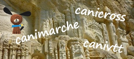 Une canimarche automnale !