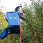 Campagne d'élagage sur la commune 1