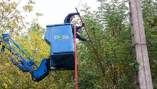 Campagne d&rsquo;élagage sur la commune