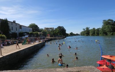 baignade 14 juillet 22