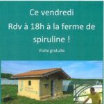 Qu'est ce que la spiruline ?