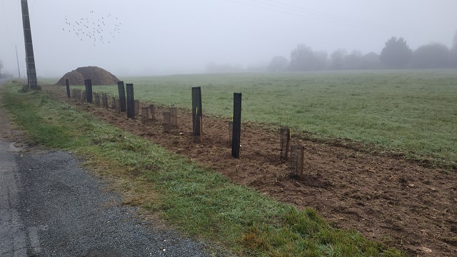 Appel à bénévoles