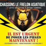 Piège à frelon asiatique 2