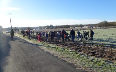 Janvier 2024 : plantation d'une haie paysagère !