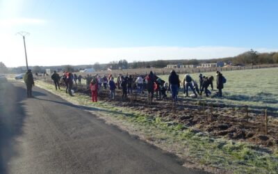 Janvier 2024 : plantation d'une haie paysagère !