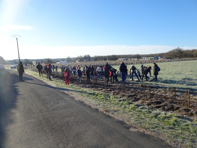 Janvier 2024 : plantation d&rsquo;une haie paysagère !