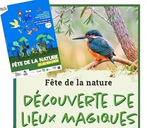 Viv’Envaux fête la nature : 2ème édition… l’APPE fête le basket, un samedi animé !