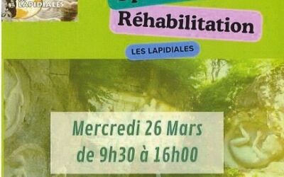 Les Lapidiales : opération nettoyage de printemps ...