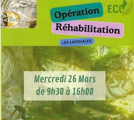 Les Lapidiales : opération nettoyage de printemps …