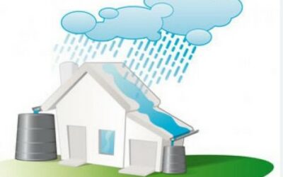 Et si on pouvait cultiver l'eau de pluie
