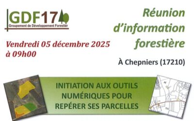 Avec le Groupement de Développement des Forêts 2