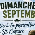 Une sortie à la pisciculture... 1