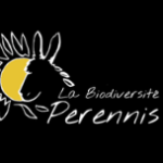 Plutôt chouette ou amphibien ?