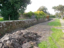 curage fossé pré valade 21 sept 2015 (2).JPG