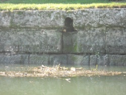 opération nettoyage des quais nov 2015 (8).JPG