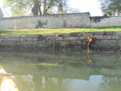 opération nettoyage des quais nov 2015 (13).JPG