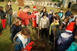un arbre pour la planète déc 2015 Crazannes (3).JPG