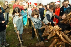 un arbre pour la planète déc 2015 Crazannes (5).JPG