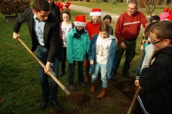 un arbre pour la planète déc 2015 Crazannes (8).JPG