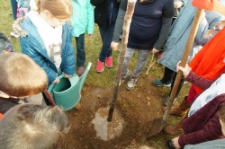 un arbre pour la planète déc 2015 Crazannes (15).JPG