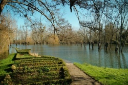 16-02-2016 La Charente (9).JPG