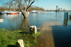 16-02-2016 La Charente (10).JPG