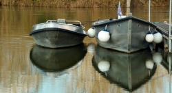 18 février 16 la charente (4).jpg