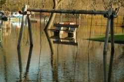 18 février 16 la charente (5).JPG