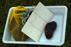 la grande mulette 5 mars 2016 (5).JPG