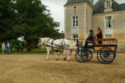 Inauguration 1 (9).JPG