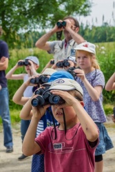 Sortie Scolaire Port d'Envaux - 06-06-2016 - A. Orseau-12.jpg