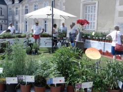 coté jardin 14.jpg