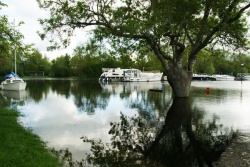 6 mai 2012 - 1.JPG