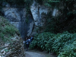 visite du soir 3.jpg