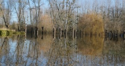 inondations 2018 le bourg (6).jpg