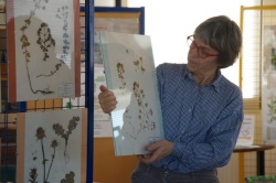 10 février 2018 conférence la cuisine des plantes sauvages (3).JPG