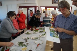 10 février 2018 conférence la cuisine des plantes sauvages (15).JPG