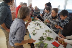 10 février 2018 conférence la cuisine des plantes sauvages (17).JPG