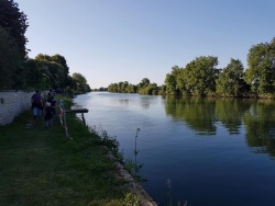 marche gourmande 8.jpg