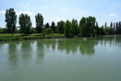 la pêche en fête 00.jpg