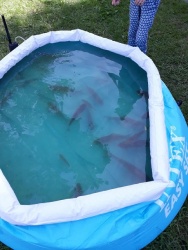 la pêche en fête 10.jpg